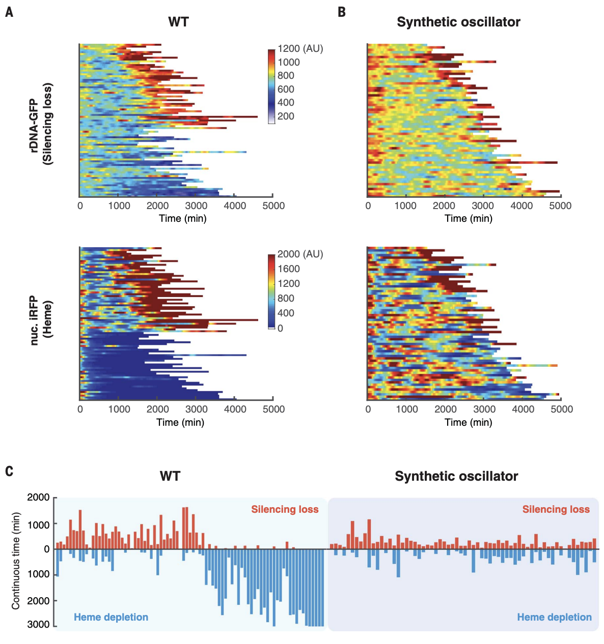 Publication 1 Image