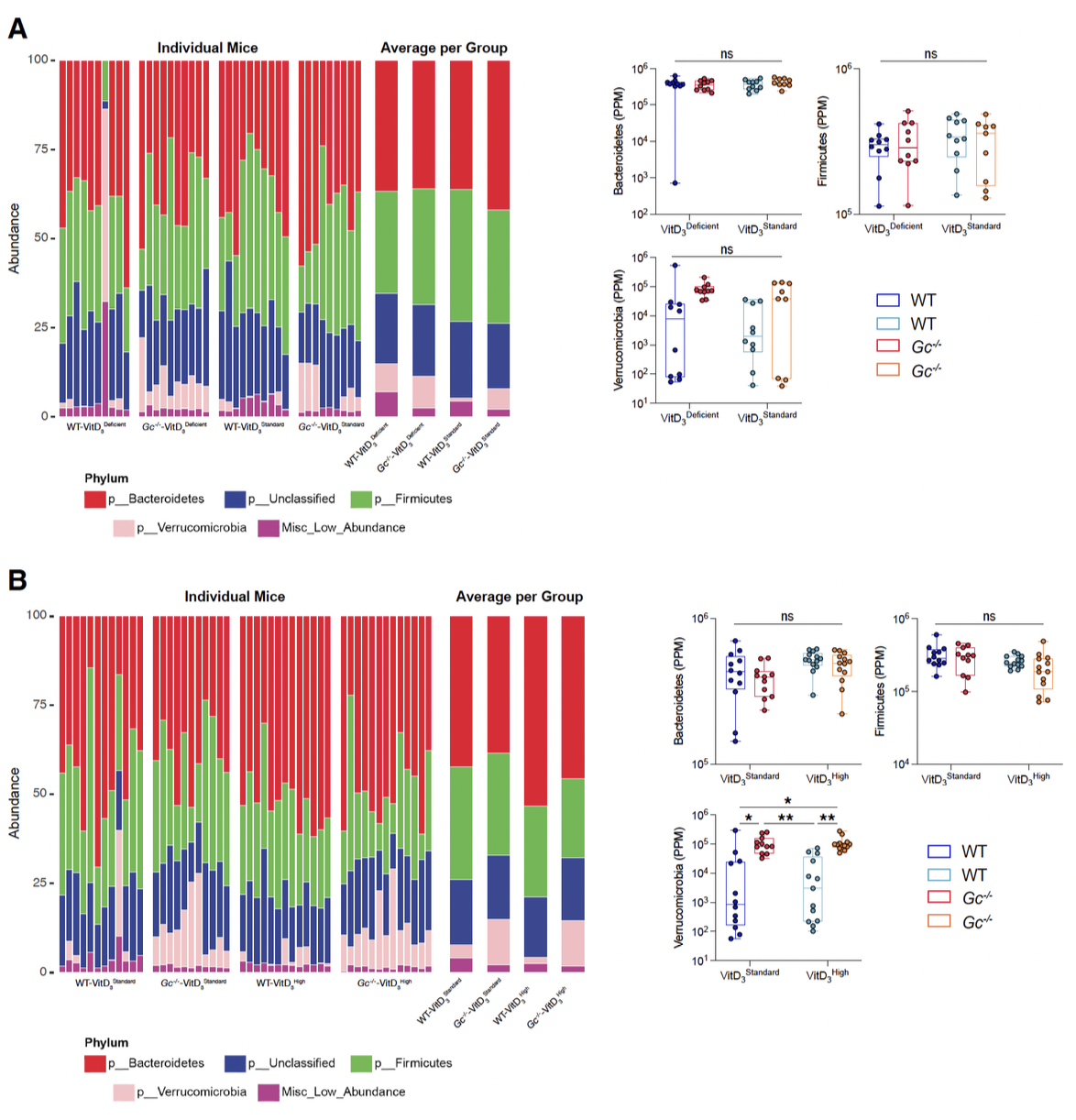 Publication 3 Image