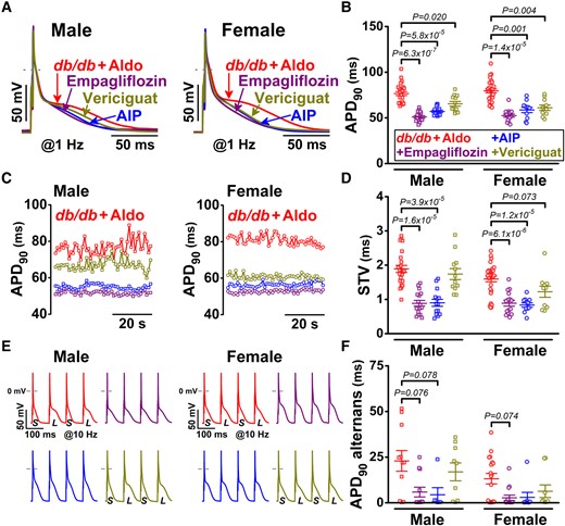 Publication 5 Image